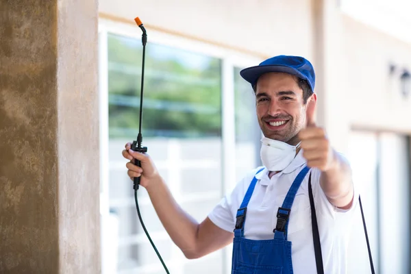 Novato Wasp Removal
