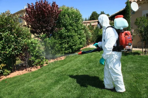 Novato Mosquito Control