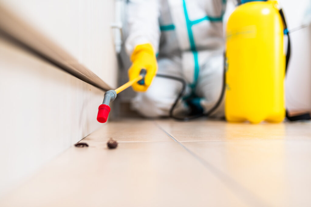 Novato Cockroach Experts