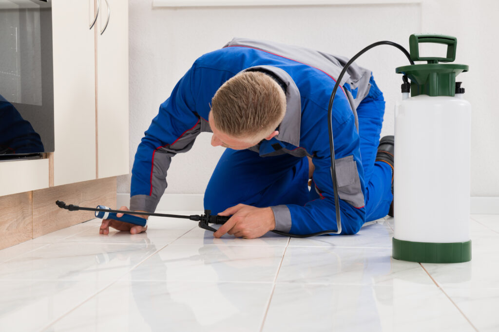 Novato Ant Control Xperts
