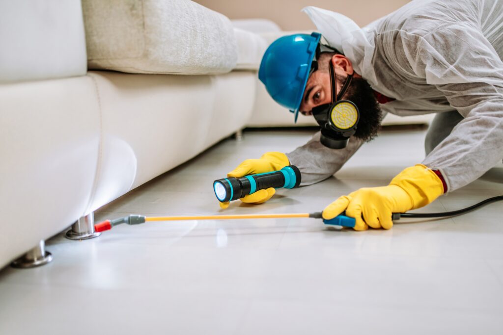 Novato Termite Control