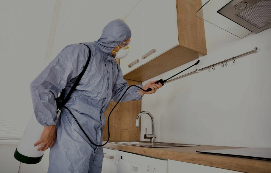Novato pest managment